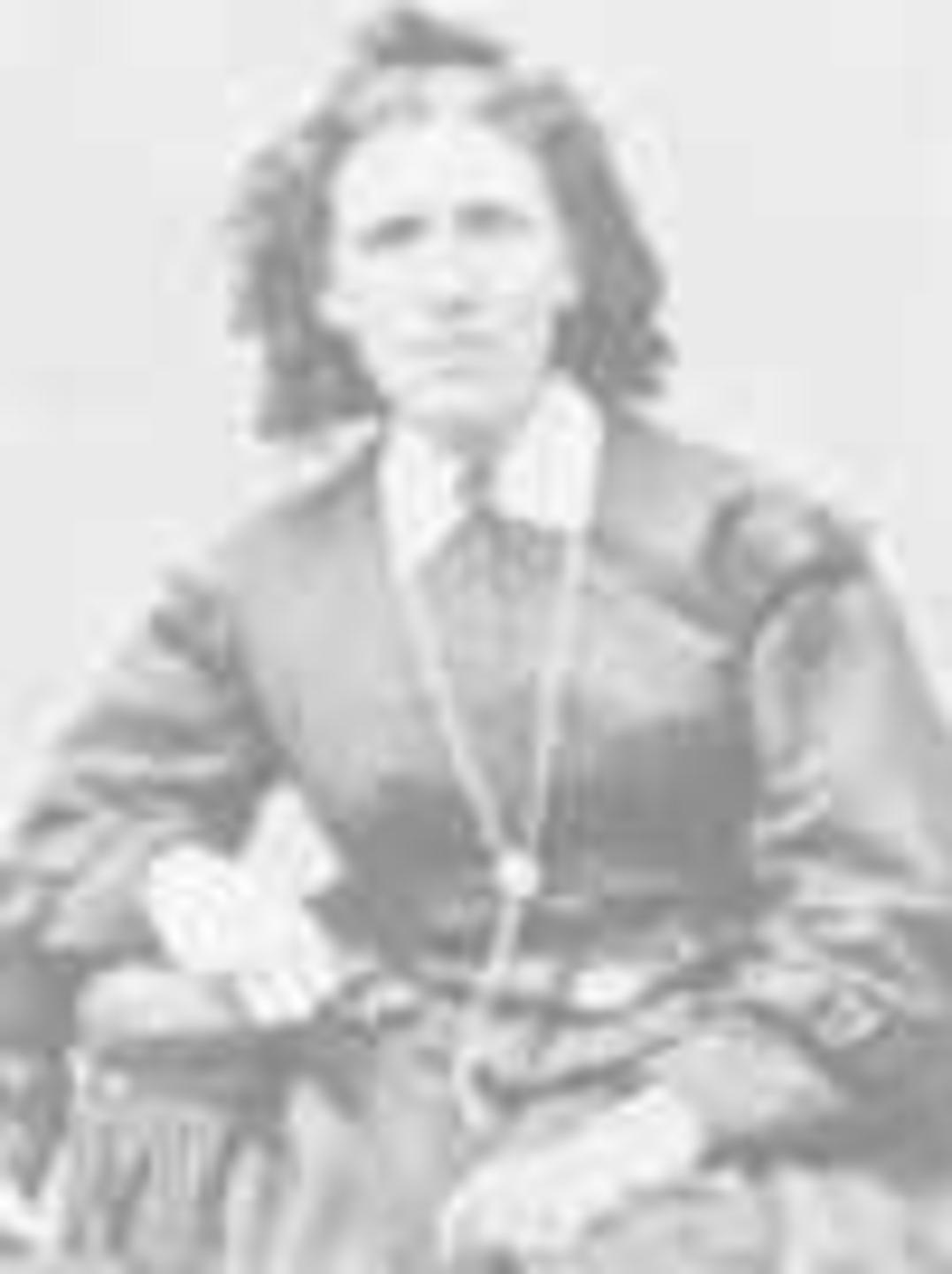 Johanna Nilsoon (1829 - 1887) Profile
